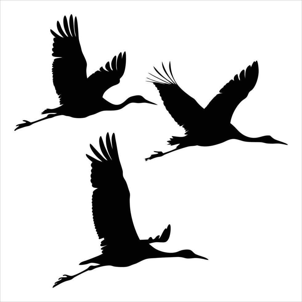 Elegant Flight of Cranes A Silhouette Study of Avian Grace and Freedom in the Open Sky Above vector