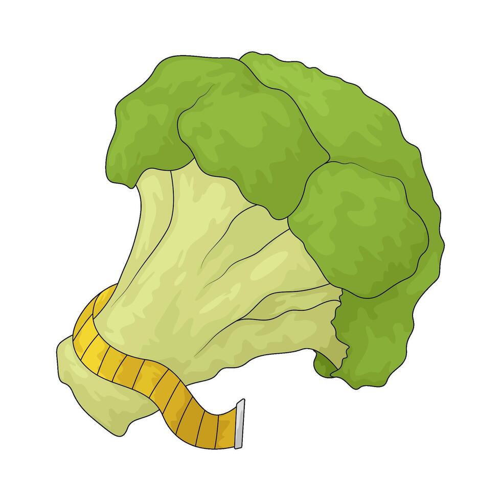 broccoli with measuring tape vector