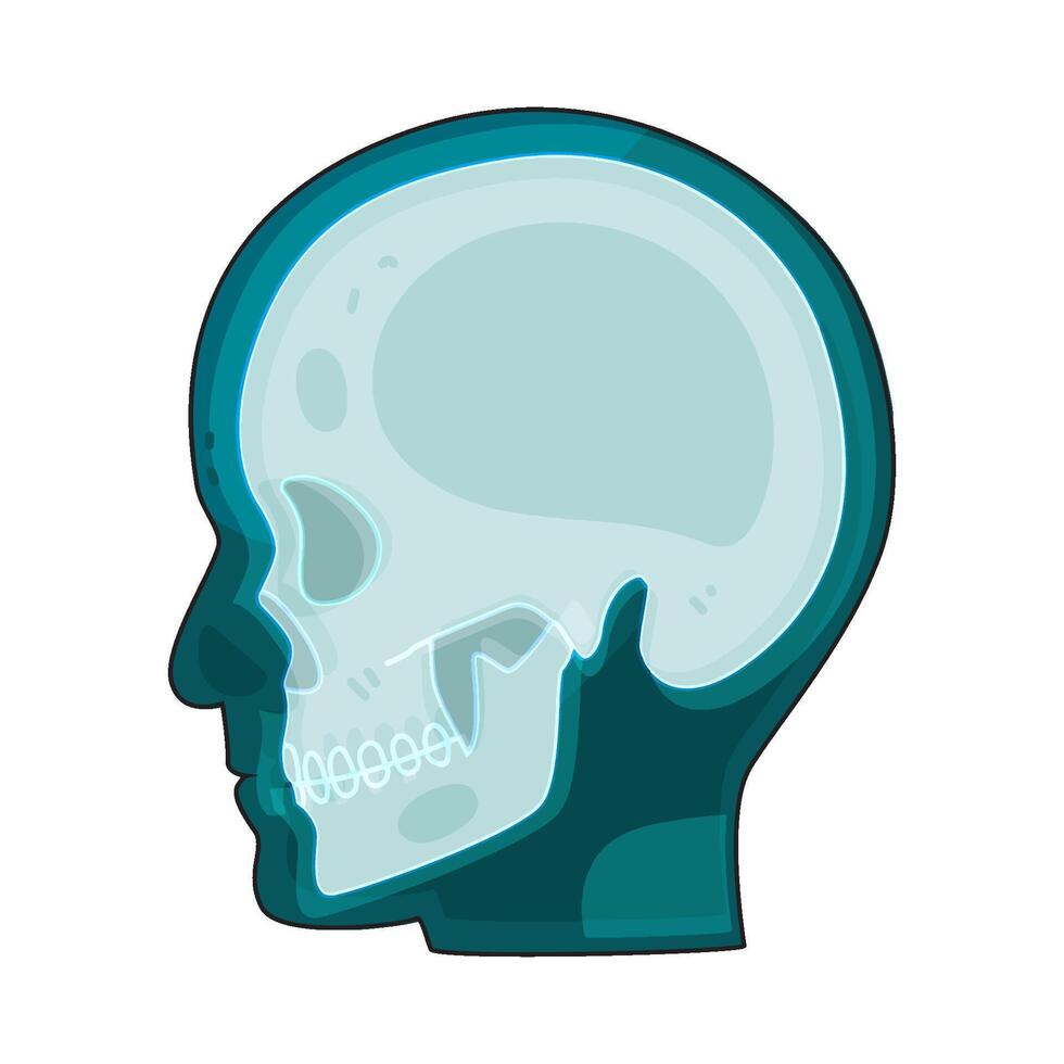 human head x-ray vector