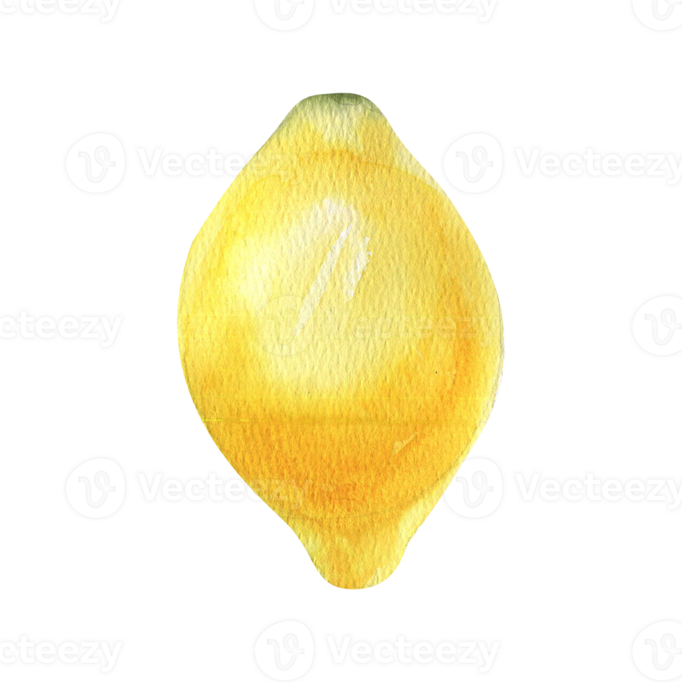 Juicy yellow lemon watercolor illustration. Hand drawn tropical sour fruit, summer lemonade ingredient for beverage menu, bar,label,logo design. Italian and Sicilian garden fruit png