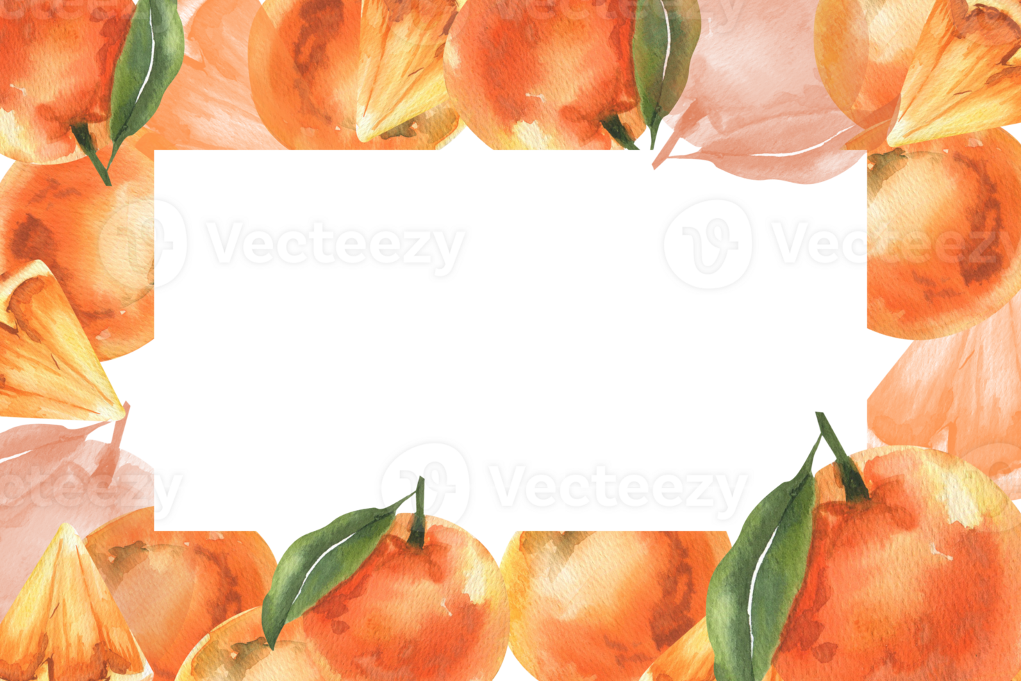 Orange fruits watercolor banner template with copy space. Hand drawn tropical fruit frame, pieces and slices of mandarin and clementine clipart for card,poster design png