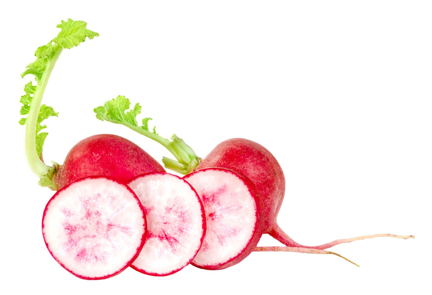 small red radish slice isolated png