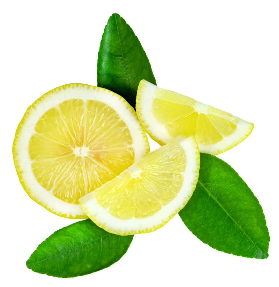Lemon slice with leaf isolated png