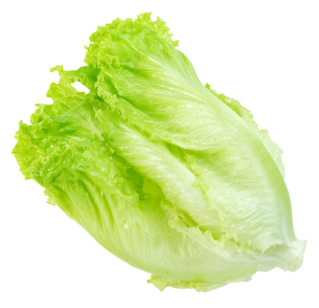 Lettuce leaf isolated, Green leaves pattern, Salad ingredient png