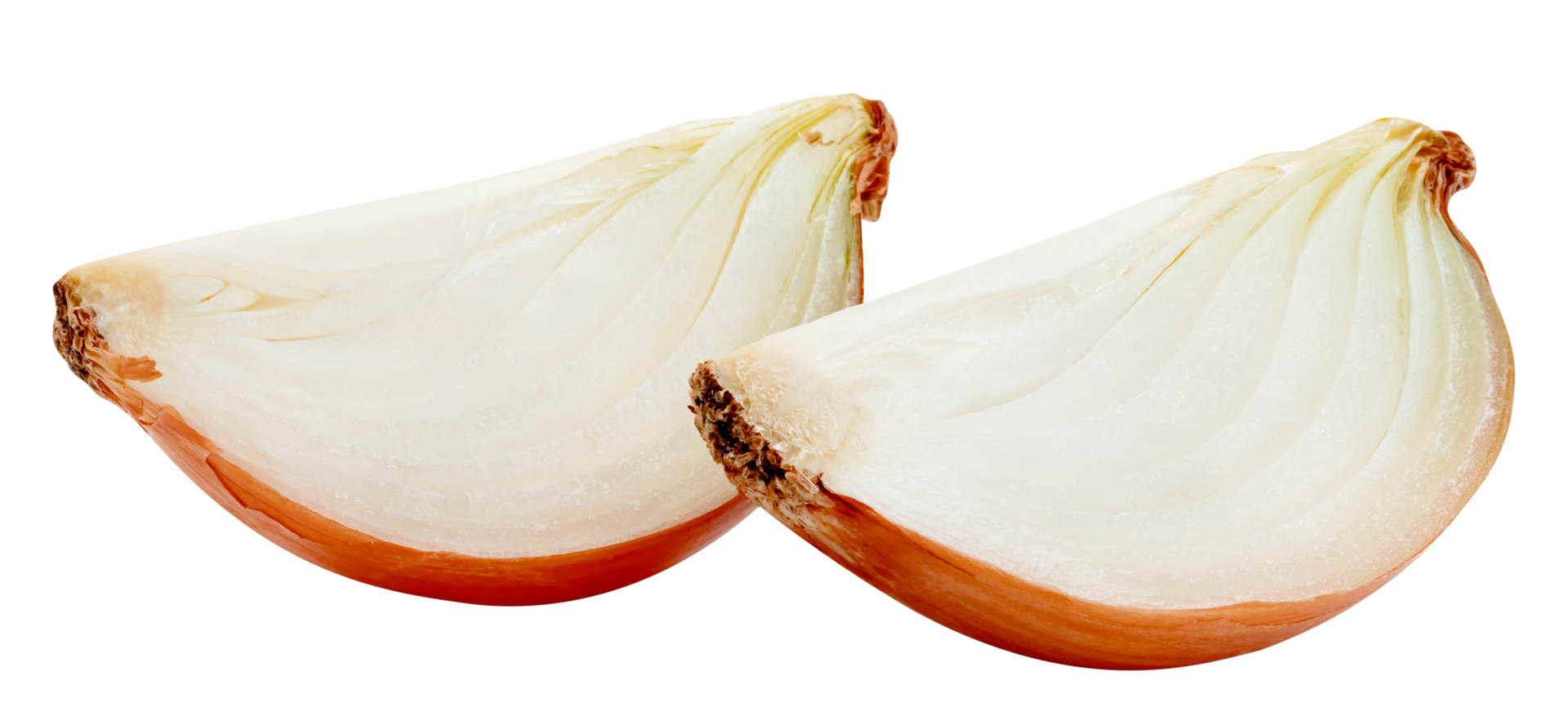 Fresh Onion sliced isolated png