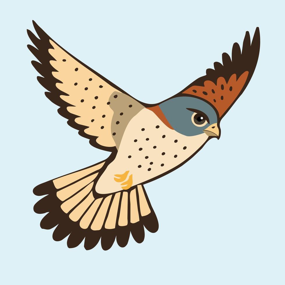 A flying male kestrel on a light blue background. He is hunting for prey vector