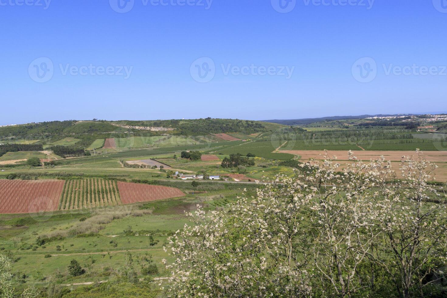Scenic view of the valley from the wall of fortress of Obidos, Portugal. Plowed fields and trees. Portuguese village. photo