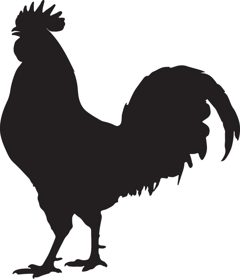 Silhouette of a rooster standing, presenting classic farm animal form and shape for design use vector