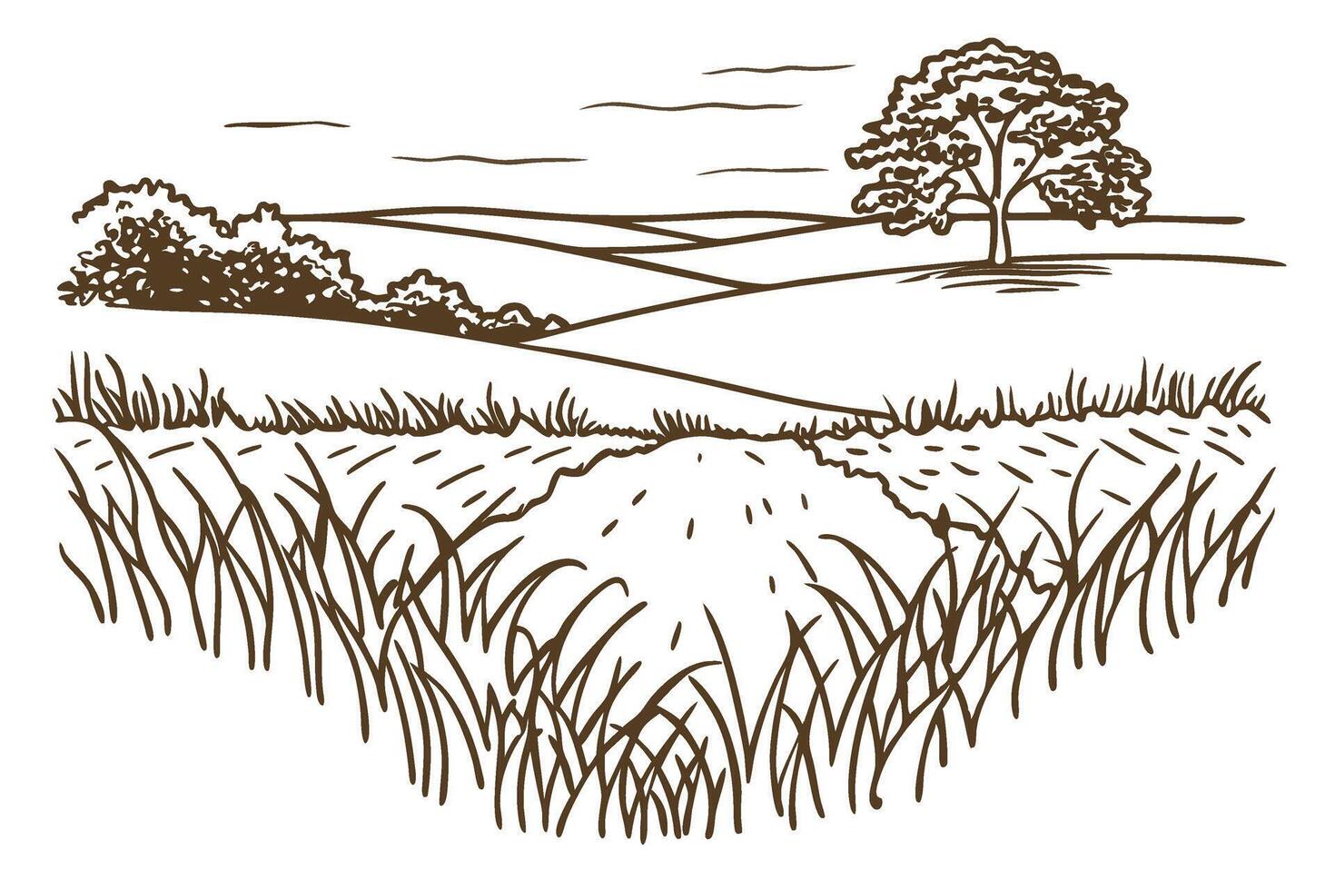 Rolling countryside landscape with tall grass, distant hills and single tree hand drawn rural scene illustration vector