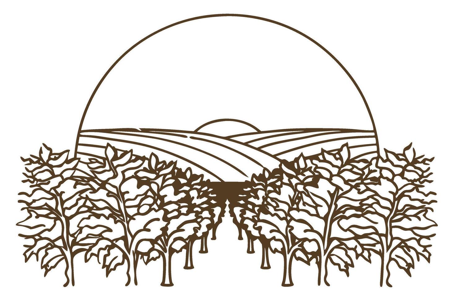Orchard landscape line art with trees and sunrise rural farmland, cultivated agriculture, nature scene illustration vector