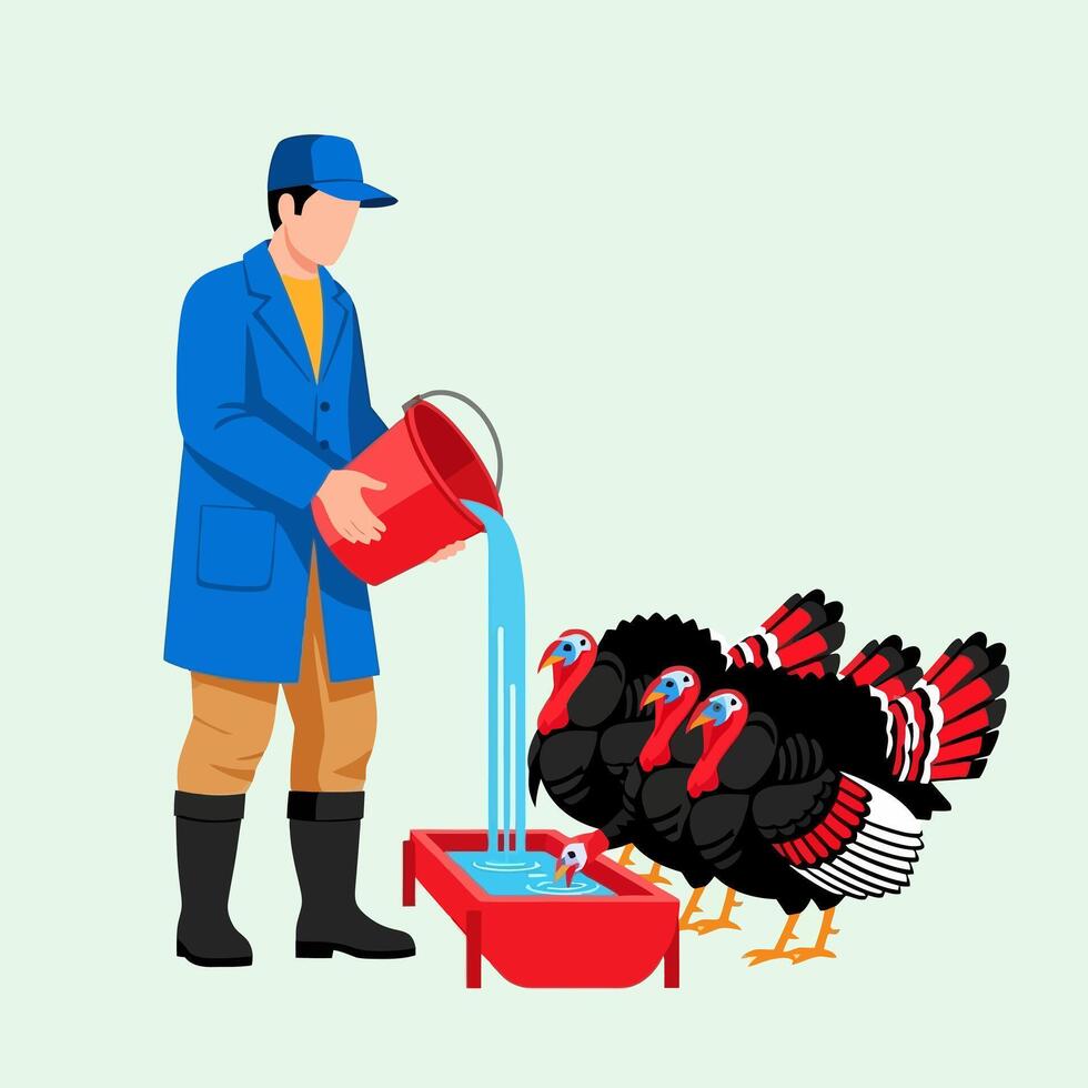 Man Filling Water Trough for Turkeys with Red Bucket Flat Illustration vector