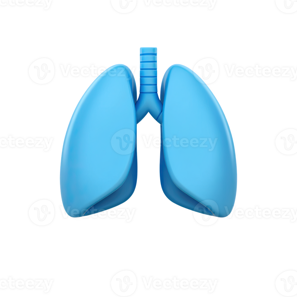 Healthy blue lungs isolated on transparent background png