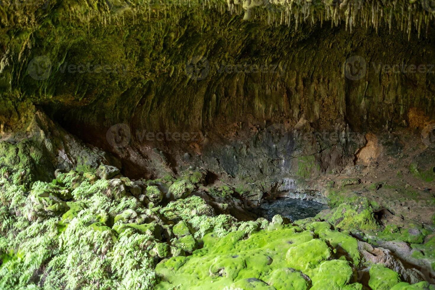 Exploring the Unique Rock Formations and Vibrant Green Moss Inside a Volcanic Cave in a Remote Location During Daylight Hours photo