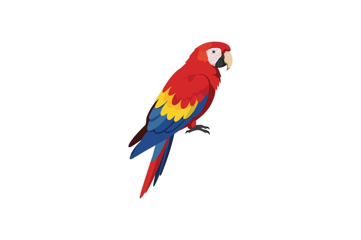 Scarlet Macaw Parrot Illustration Colorful Tropical Bird Clipart vector