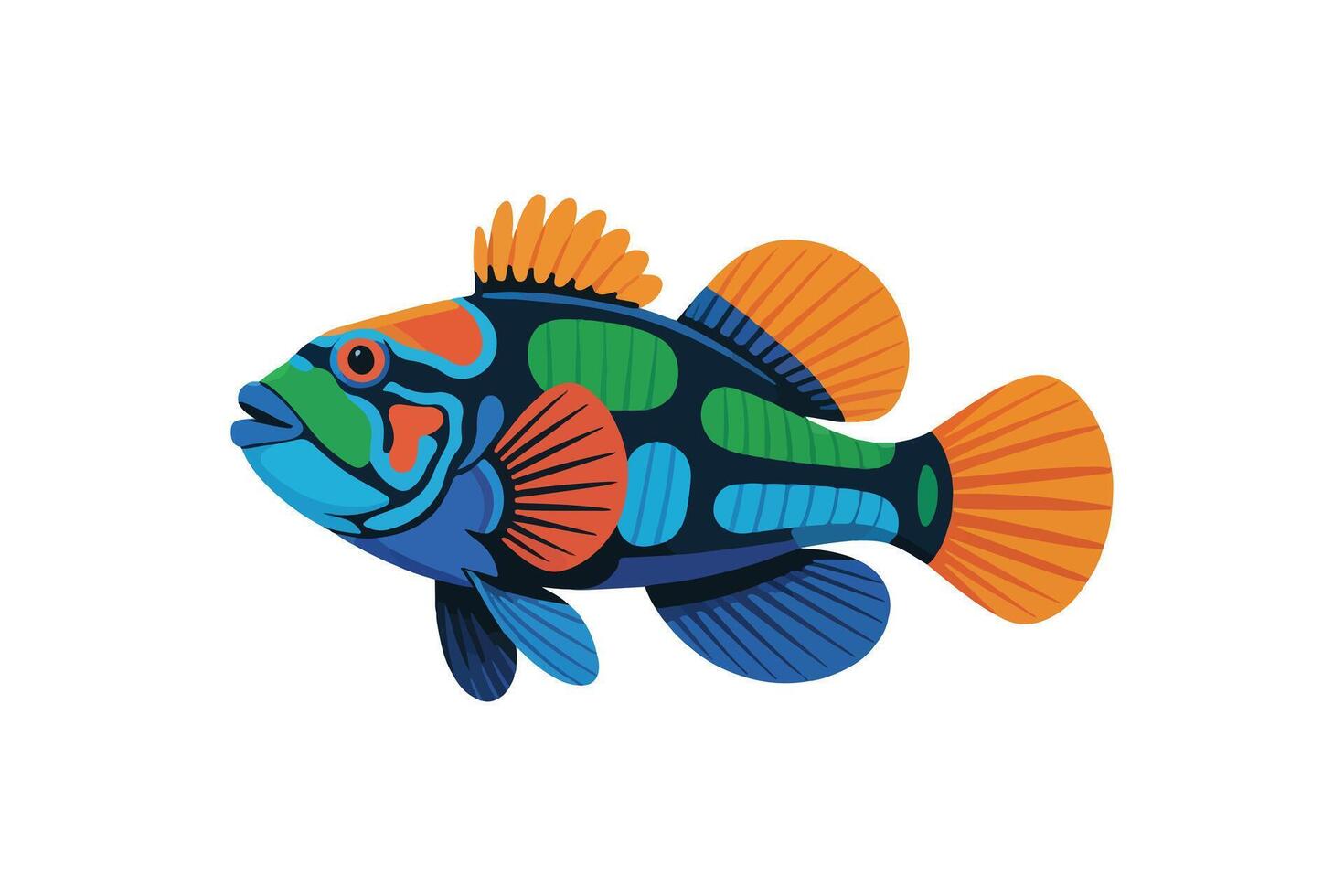 Colorful Mandarin Fish Illustration Exotic Tropical Fish Flat Design vector