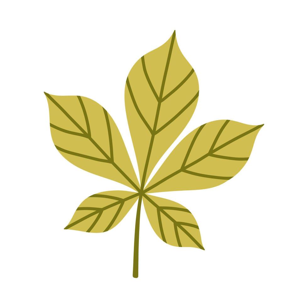 Green chestnut leaf isolated on white background. Simple autumn fall leaf for pattern, banner, sticker. Hello autumn card. Flat illustration. vector