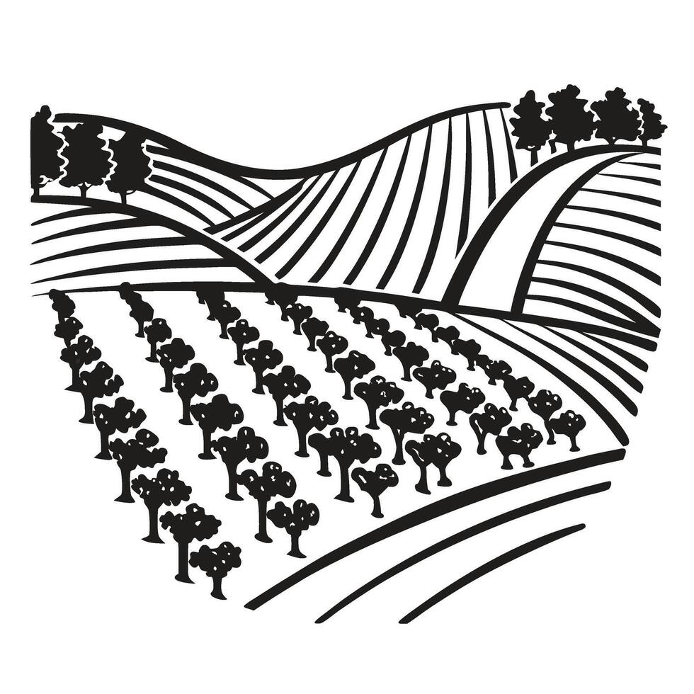 Orchard landscape with rolling hills, farmland rows, cultivated trees, and distant forest scenic rural agriculture view illustration vector