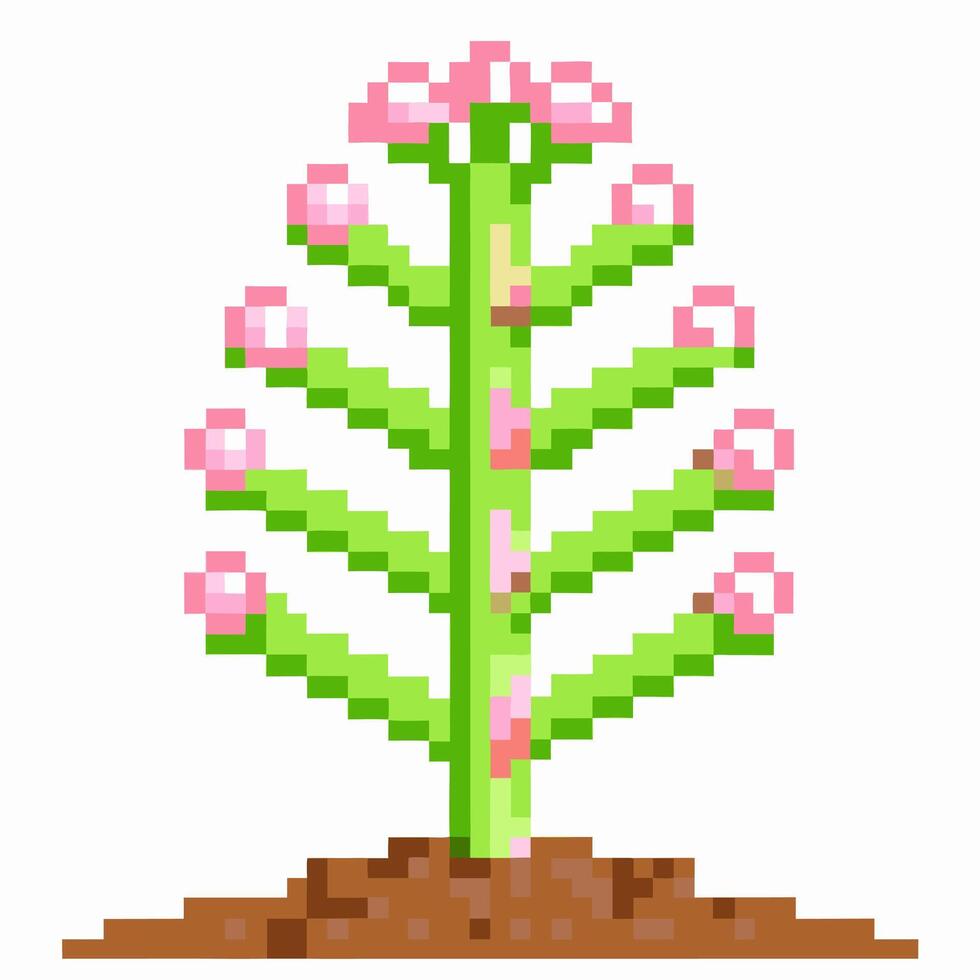 pixel art blooming flower with green stem and pink blossoms, retro digital design plant on soil, 8 bit nature element vector