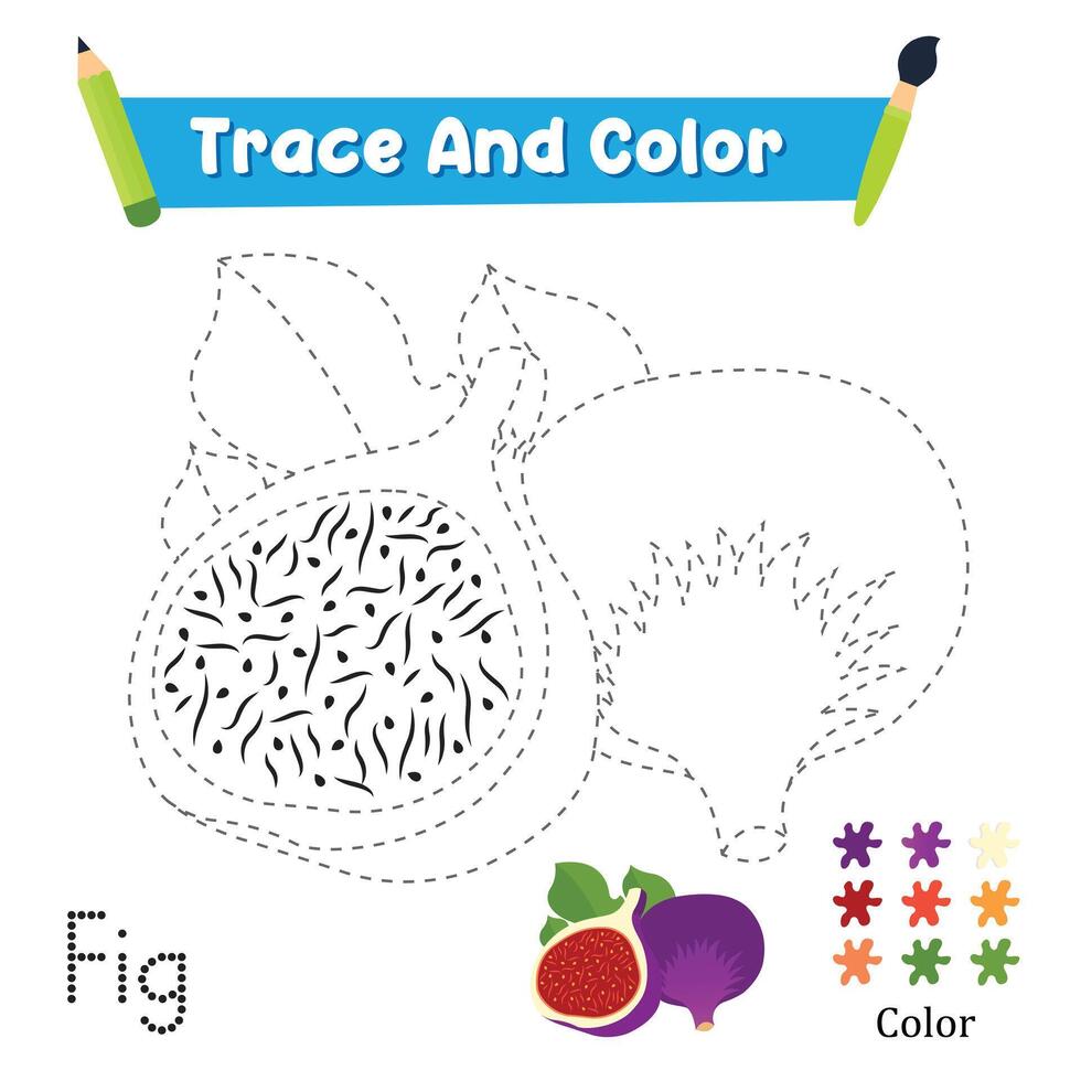 Handwriting Practice. Trace And Color The Fig Food Which Is Perfect. Illustration vector
