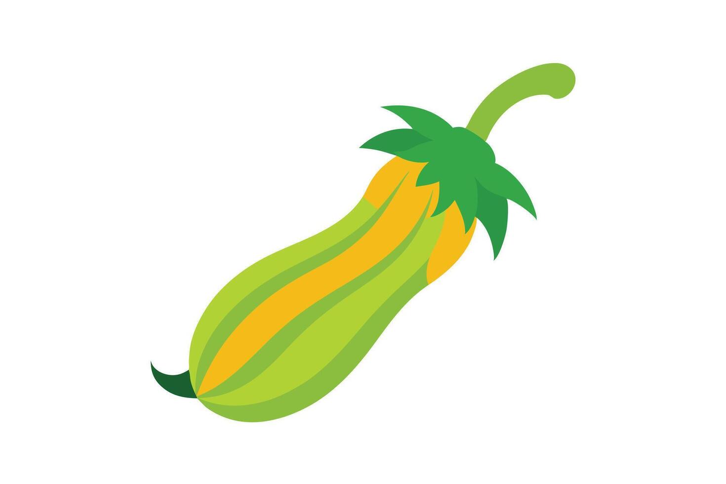 Zucchini Flower with Green Stem Illustration detailed vector