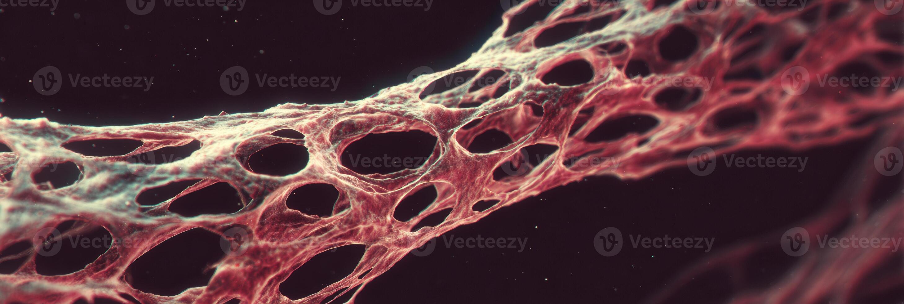 Exploring a Macro View of a Nerve-Like Organic Structure Showcasing Intricate Patterns and Textures Under Soft Lighting Conditions photo