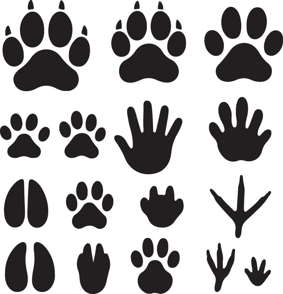 Collection of Animal Tracks and Paw Prints vector