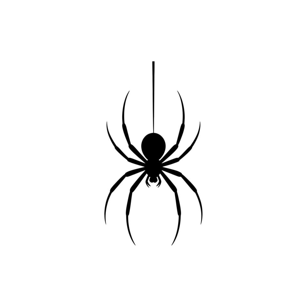 Black Silhouette of a Spider Dangling From a Single Strand on a White Background vector