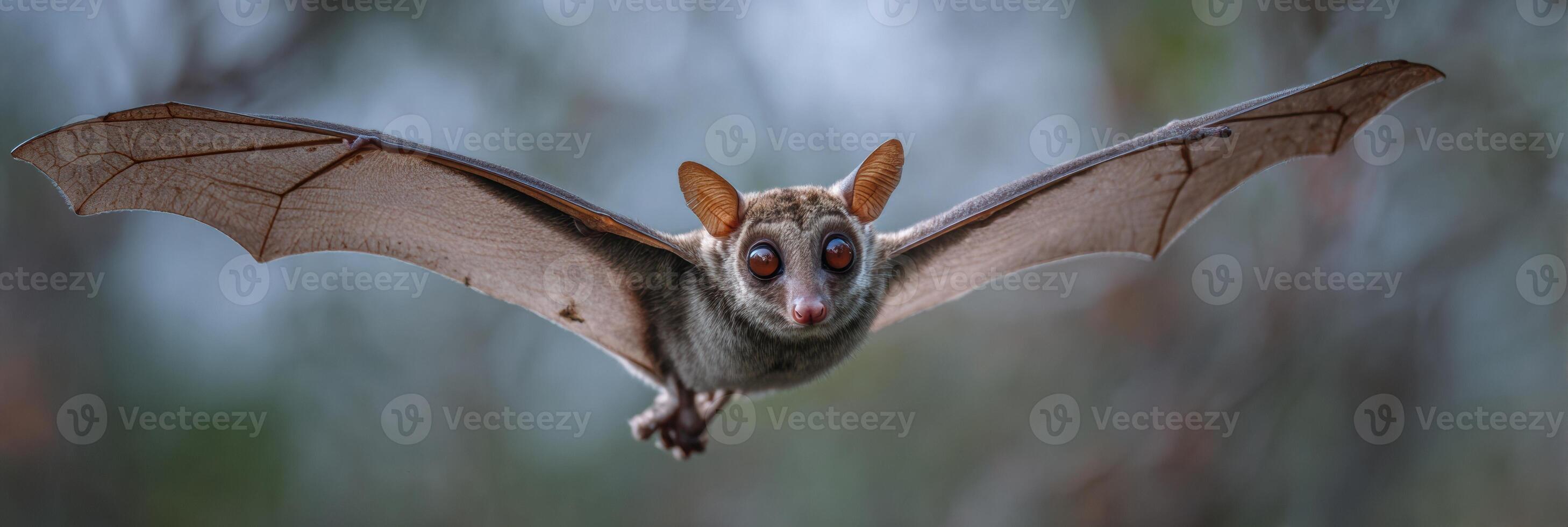 Sunda Colugo Gliding Gracefully Through Twilight Air With Soft Gradients and an Open Layout photo