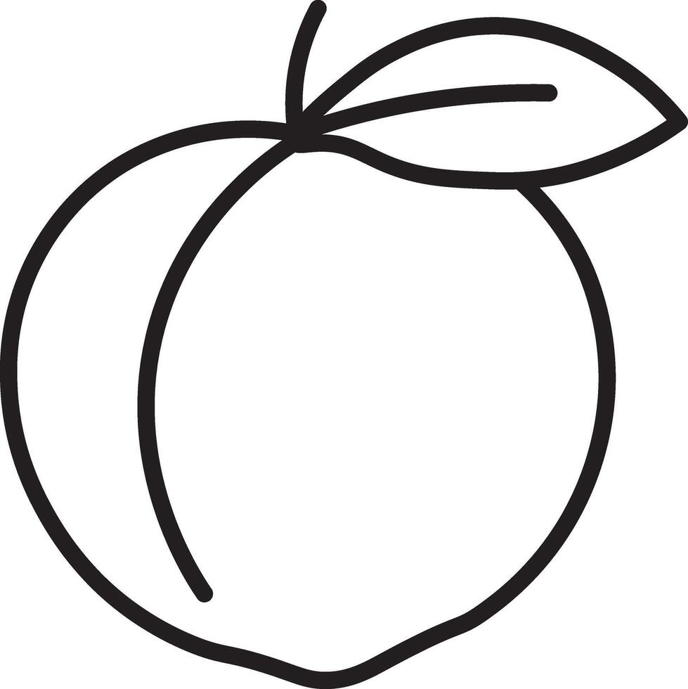 A peach is drawn in a line on a white background vector