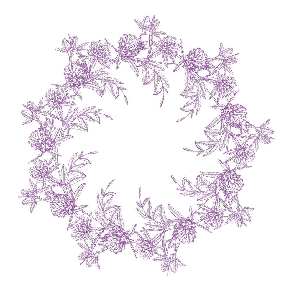 Wreath of clovers. Meadow flower ink illustration. Handmade ink art work. vector