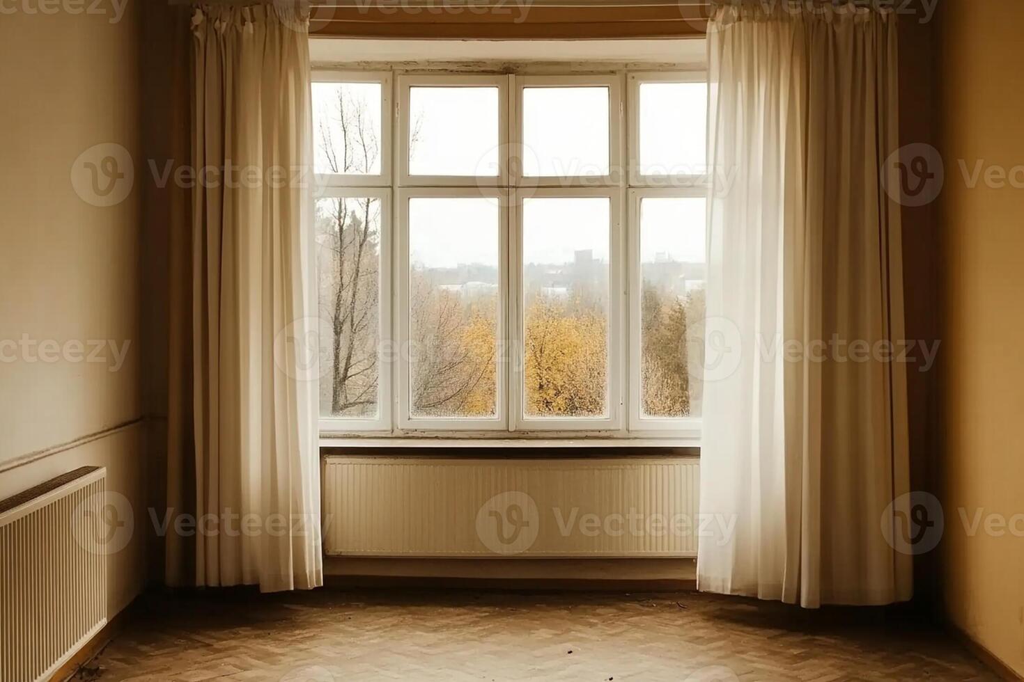 An empty room with a window and a wood floor photo
