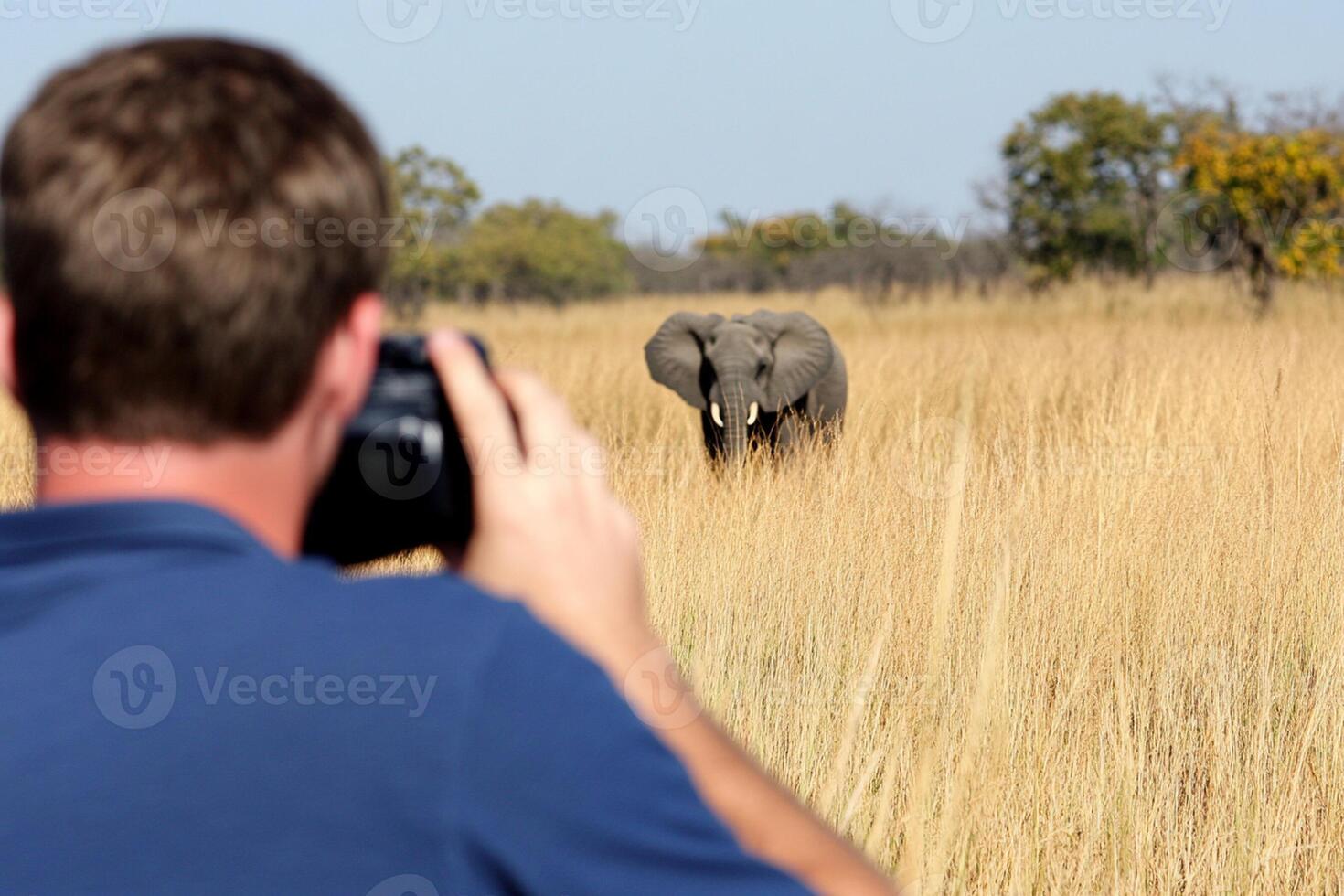 A man taking a picture of an elephant in a field photo