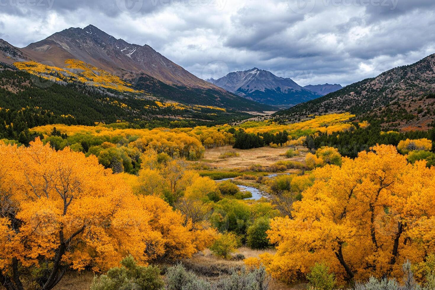 A view of a mountain range with trees and a river photo
