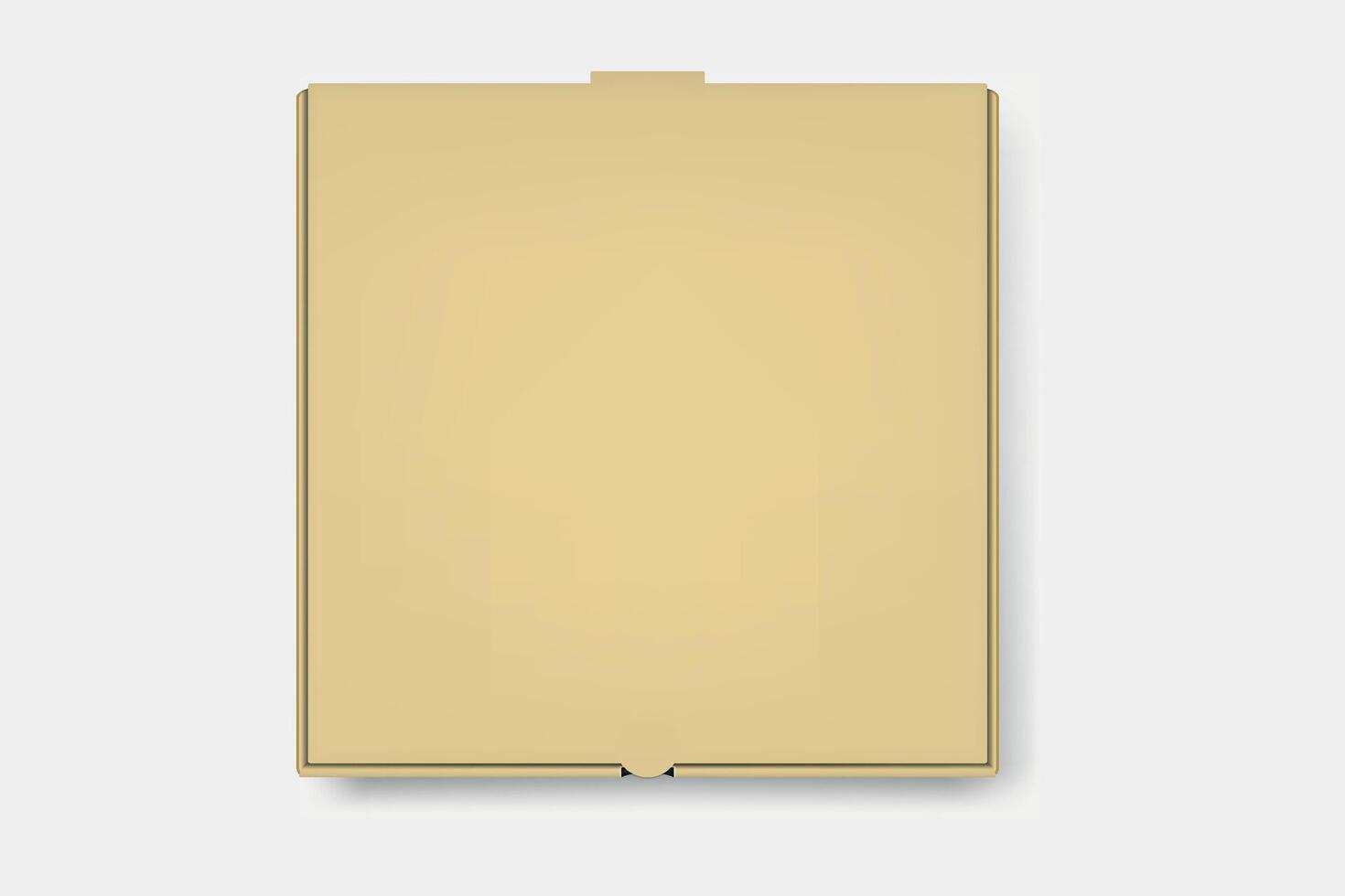 Brown pizza box for takeout vector