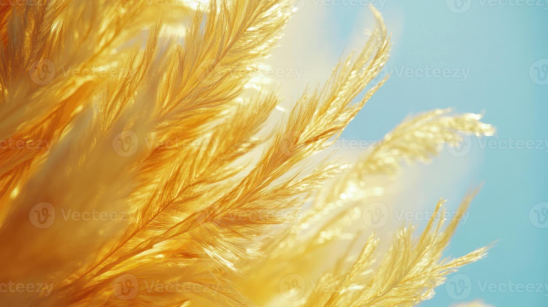 A close up of a golden feather on a blue sky photo