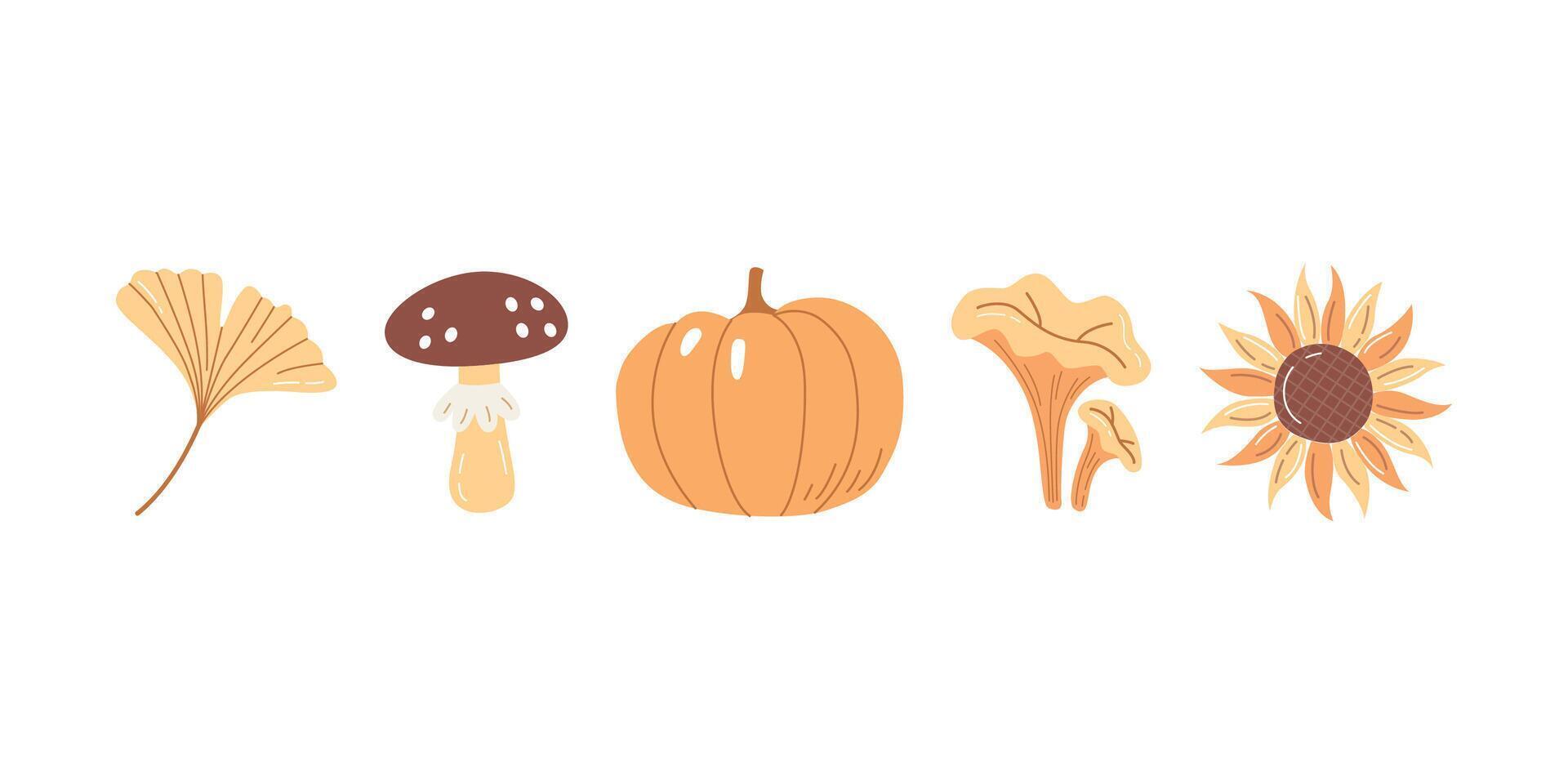 Hand Drawn Autumn Harvest Set Pumpkin, Mushroom, Sunflower, Ginkgo Leaf and Chanterelle Illustration vector