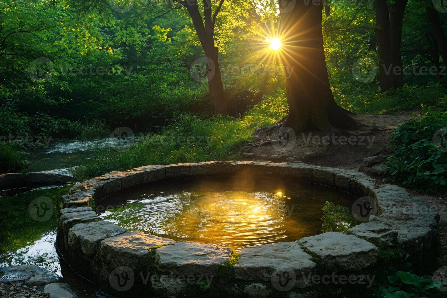 Sun shining through trees on small pond in the forest photo