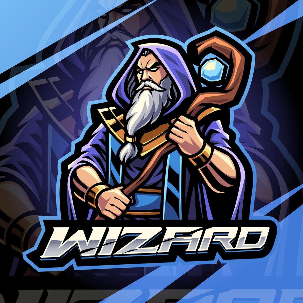 Wizard holding a mystical staff vector