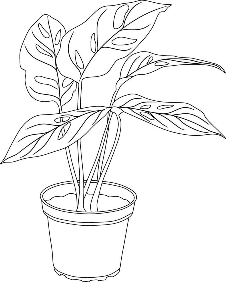 Line Art ofMonstera Plant in a Pot vector
