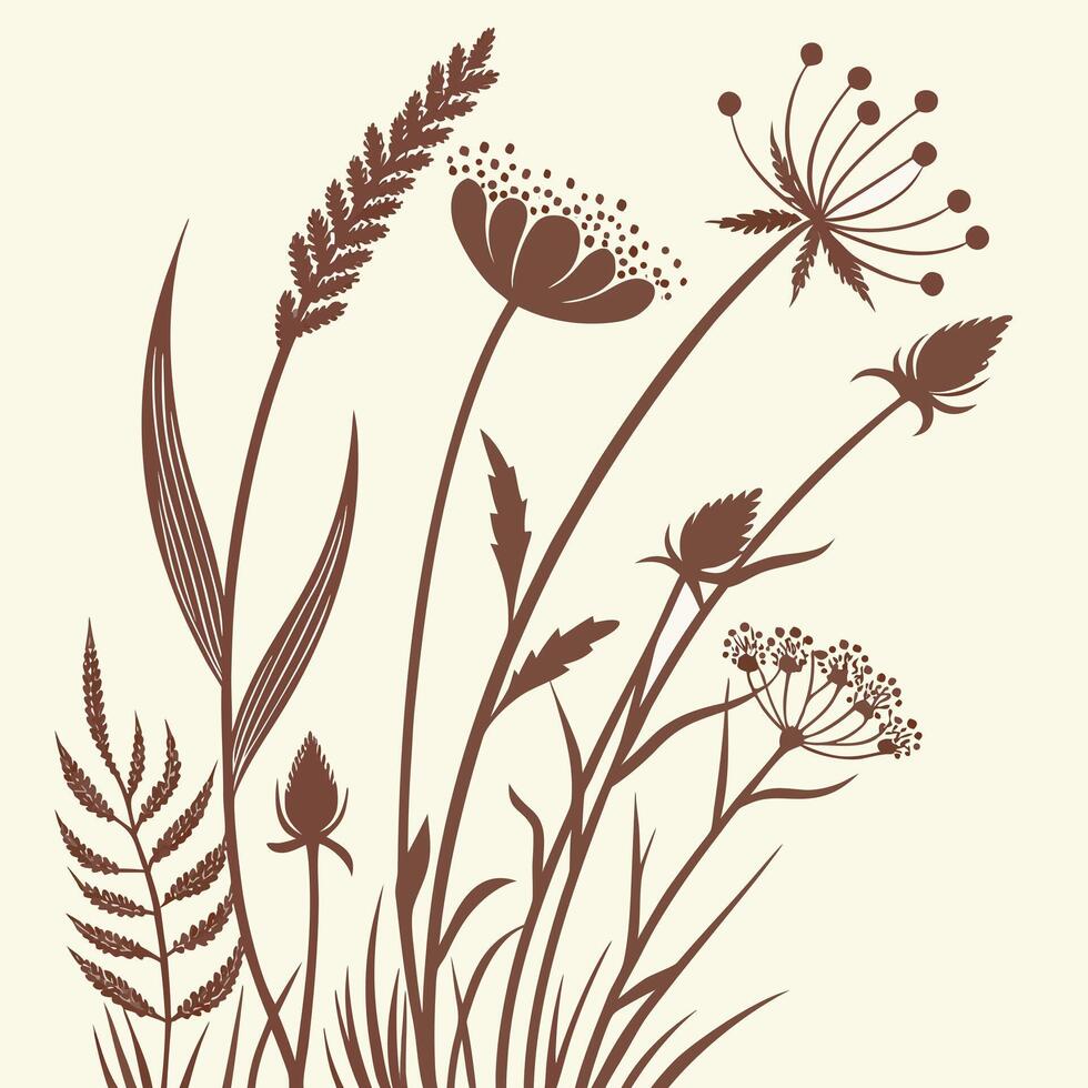 Delicate brown wildflowers and grasses illustration on cream background vector