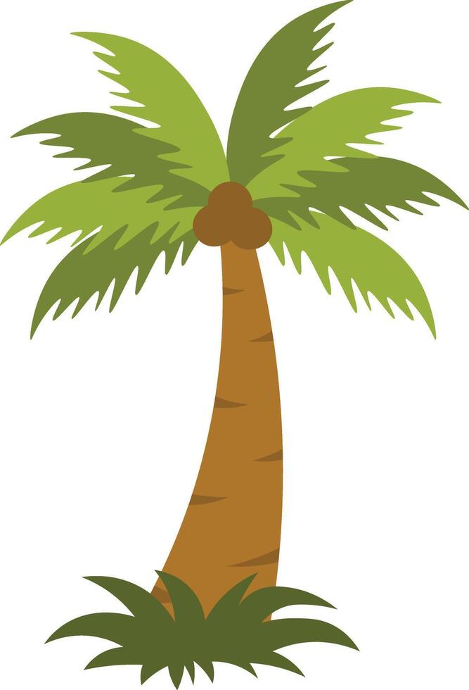 Tropical Palm Trees Illustration with Cartoon Design. vector