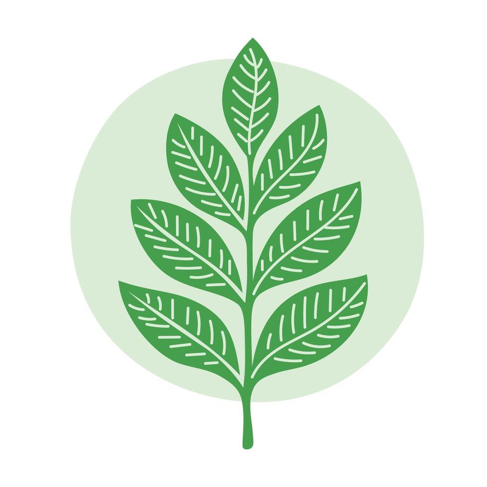 Green leaves on green round background isolated flat style design. vector