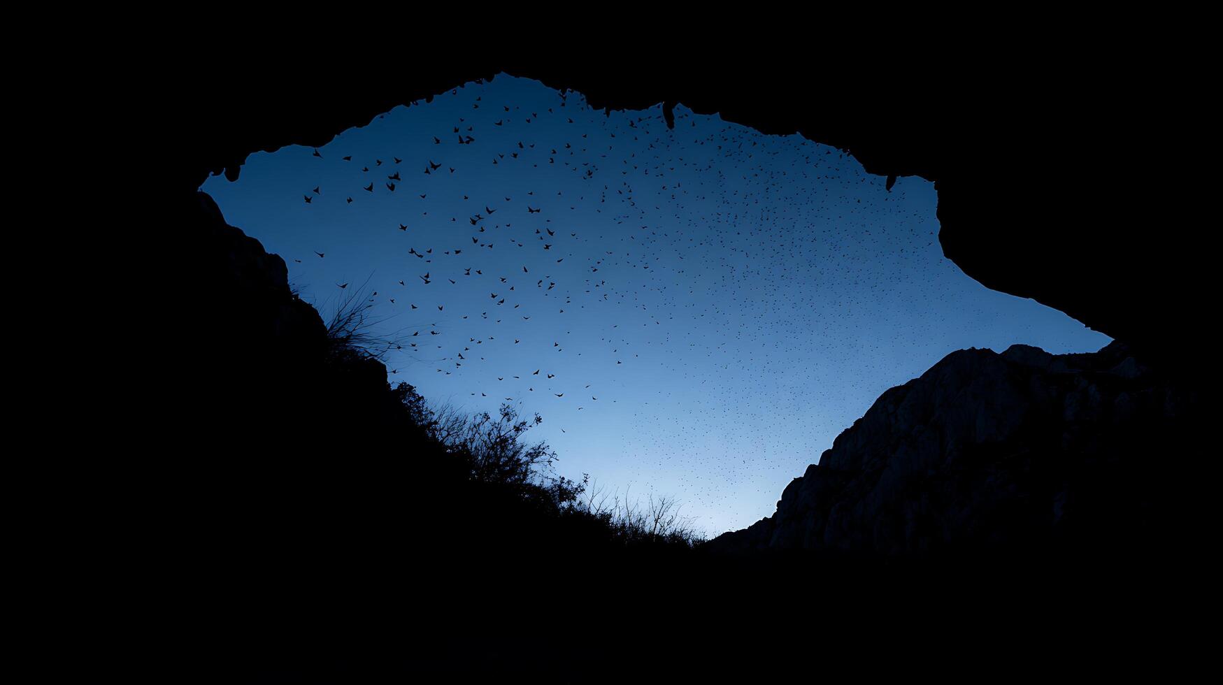 Flock of Birds Emerges from Dark Cave Against Deep Blue Evening Sky. photo