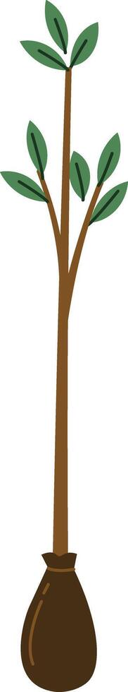 Young Tree with Root Ball vector