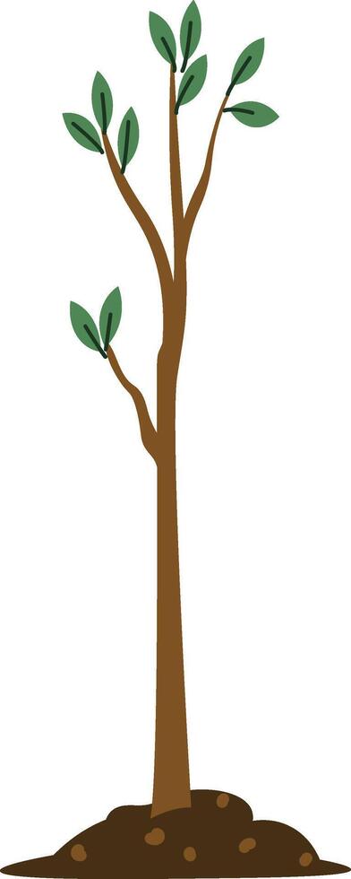 Young Tree with Leaves vector