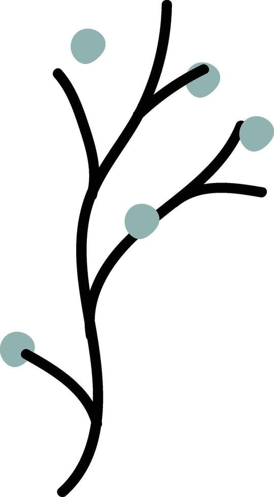 Branch with Round Berries vector