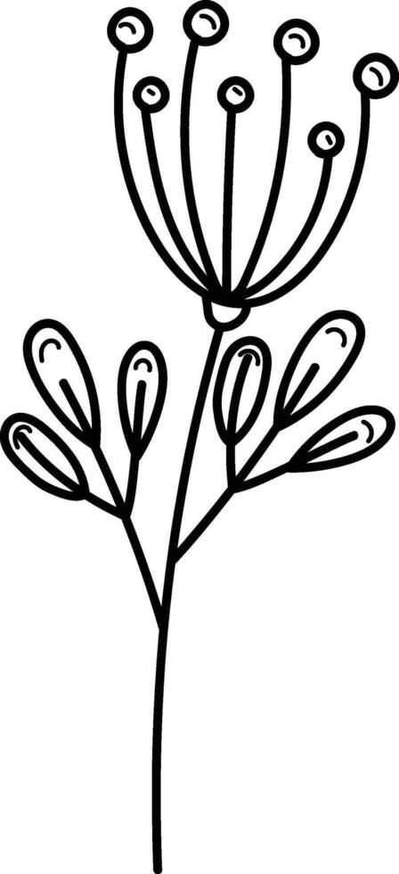 Botanical Line Drawing of Flower vector