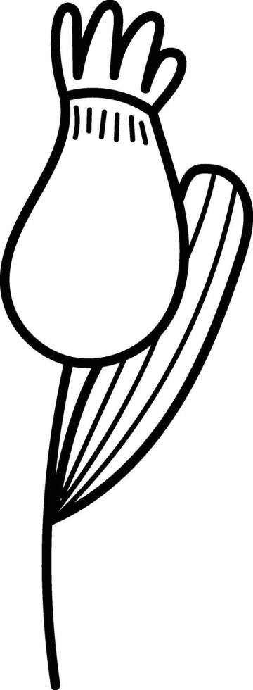 Hand-drawn Tulip with Leaf vector
