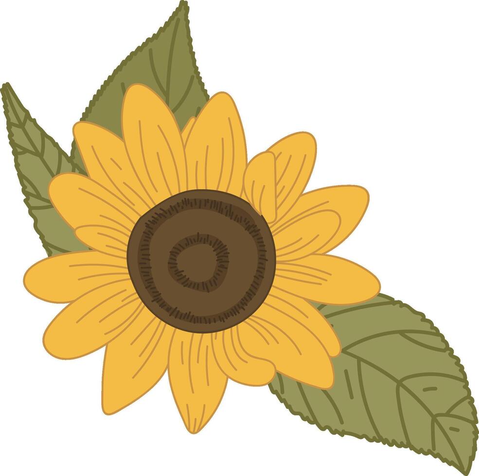 Sunflower with Leaves Decorative vector
