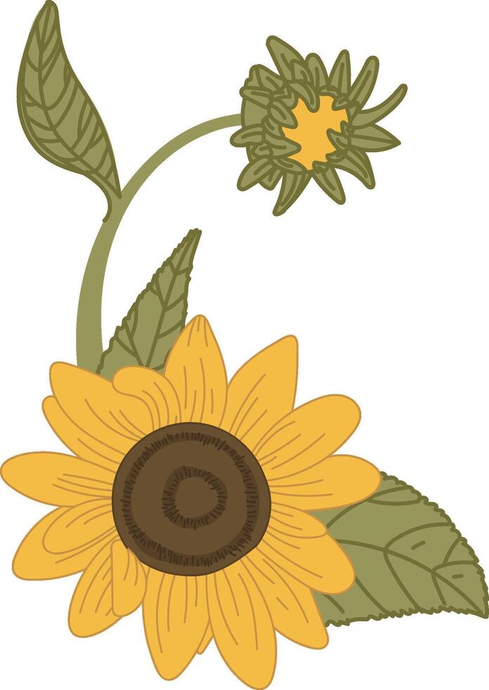 Sunflower with Leaves and Bud Element vector